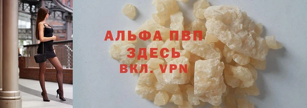 гидра Алексин