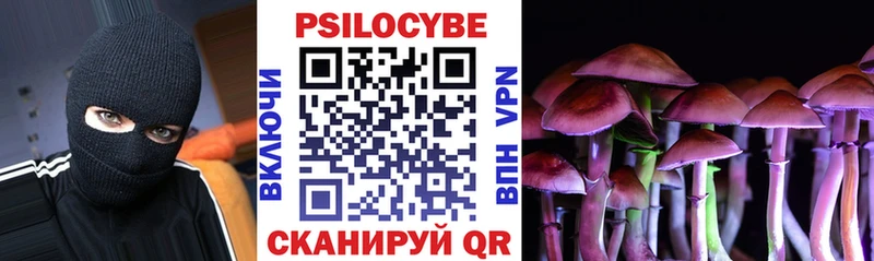 Галлюциногенные грибы Psilocybine cubensis Гусь-Хрустальный